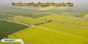 چرا تصرف در روستاها با پیچیدگی بیشتری همراه است؟