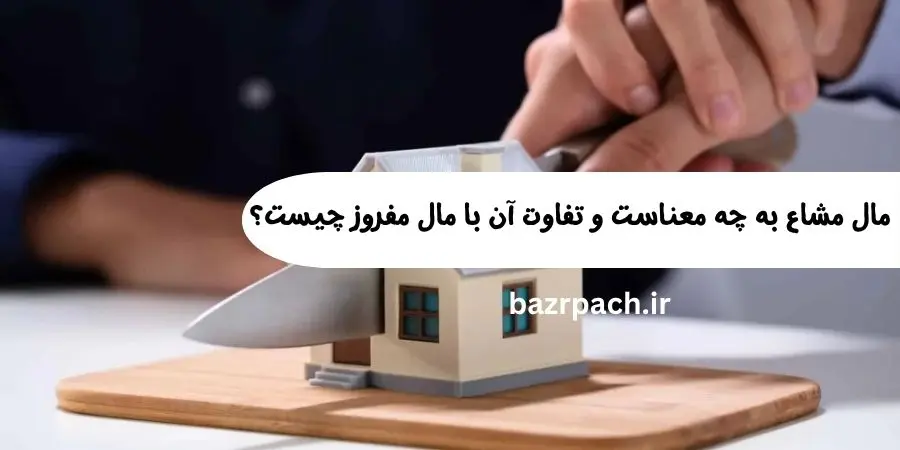 مال مشاع به چه معناست و تفاوت آن با مال مفروز چیست؟