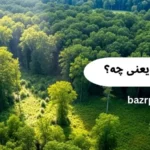 زمین مشجر یعنی چه؟