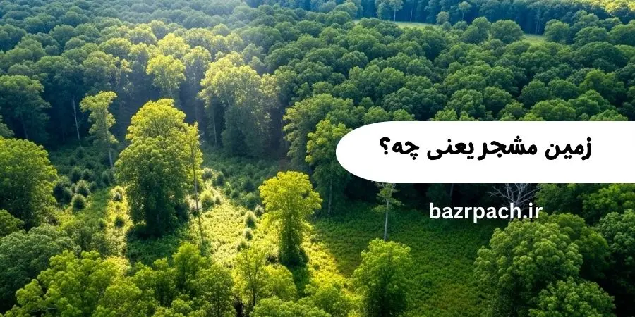زمین مشجر یعنی چه؟