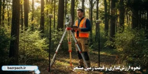 نحوه ارزش‌گذاری و قیمت زمین مشجر